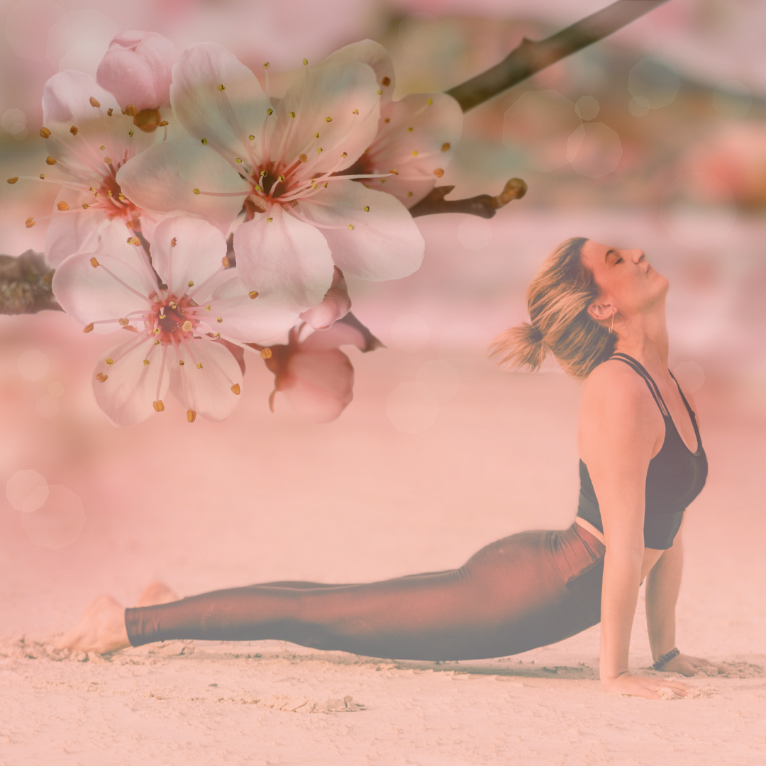Yoga e Primavera: é hora de florescer